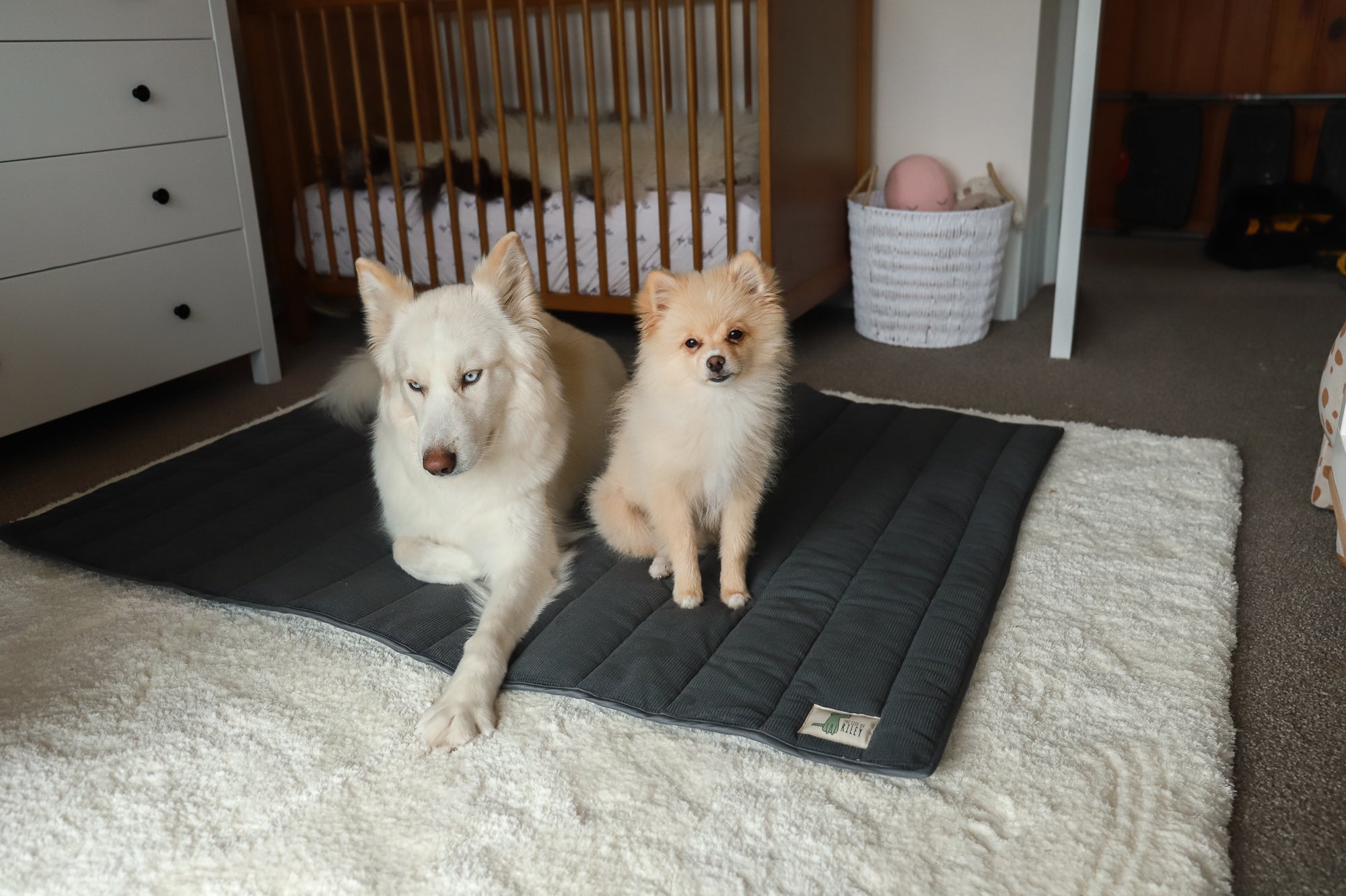 Corduroy Roll Up Dog Mat Life of Riley Pet Products  The Life of Riley