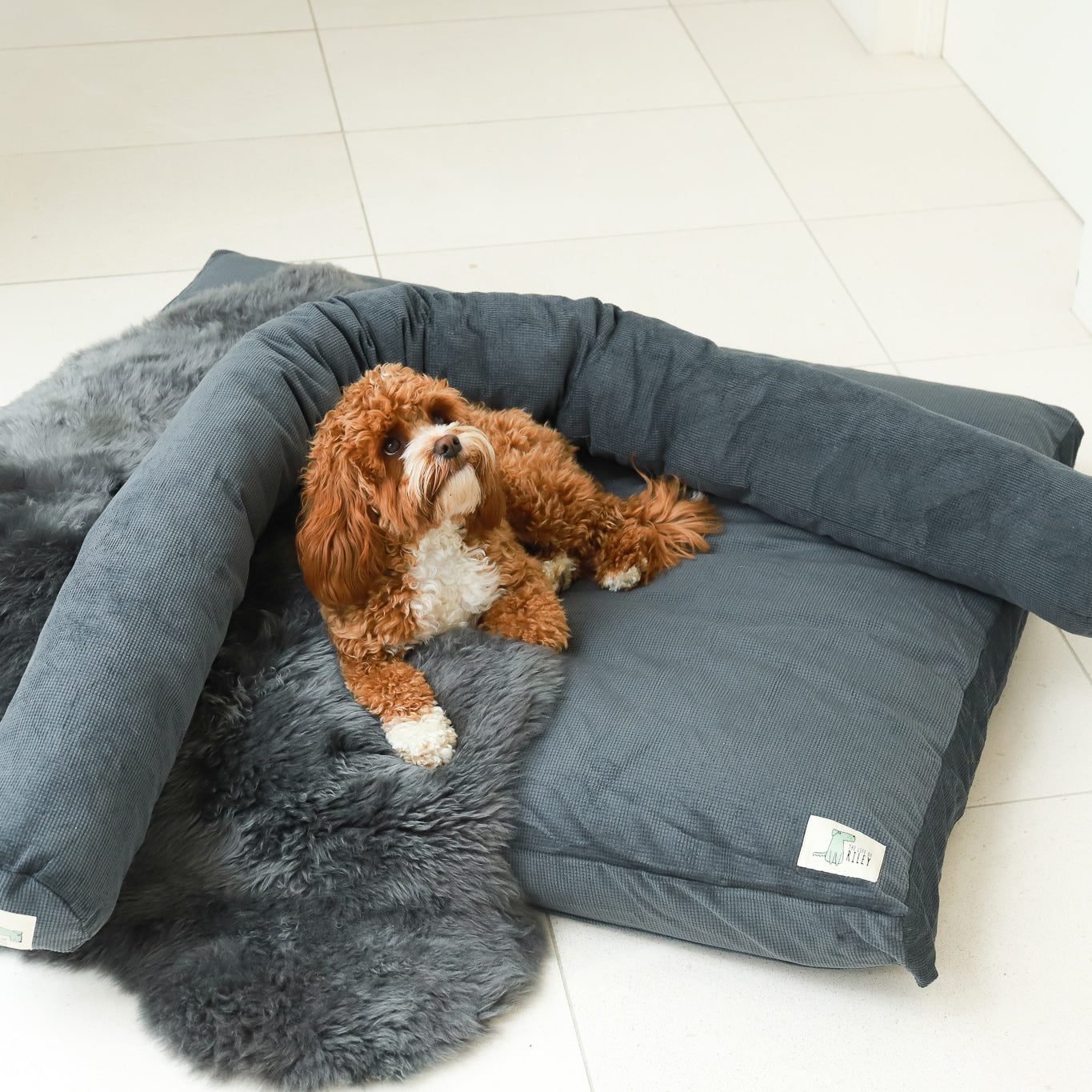 Premium Dog Bed Bundle The Life of Riley  The Life of Riley