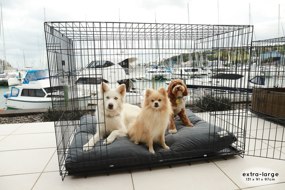 Why Dogs Love Crates: Creating the Perfect Den for Your Furry Friend.