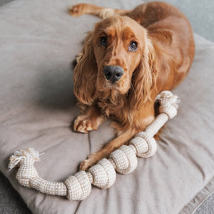 Hemp Rope Toys The Life of Riley  The Life of Riley