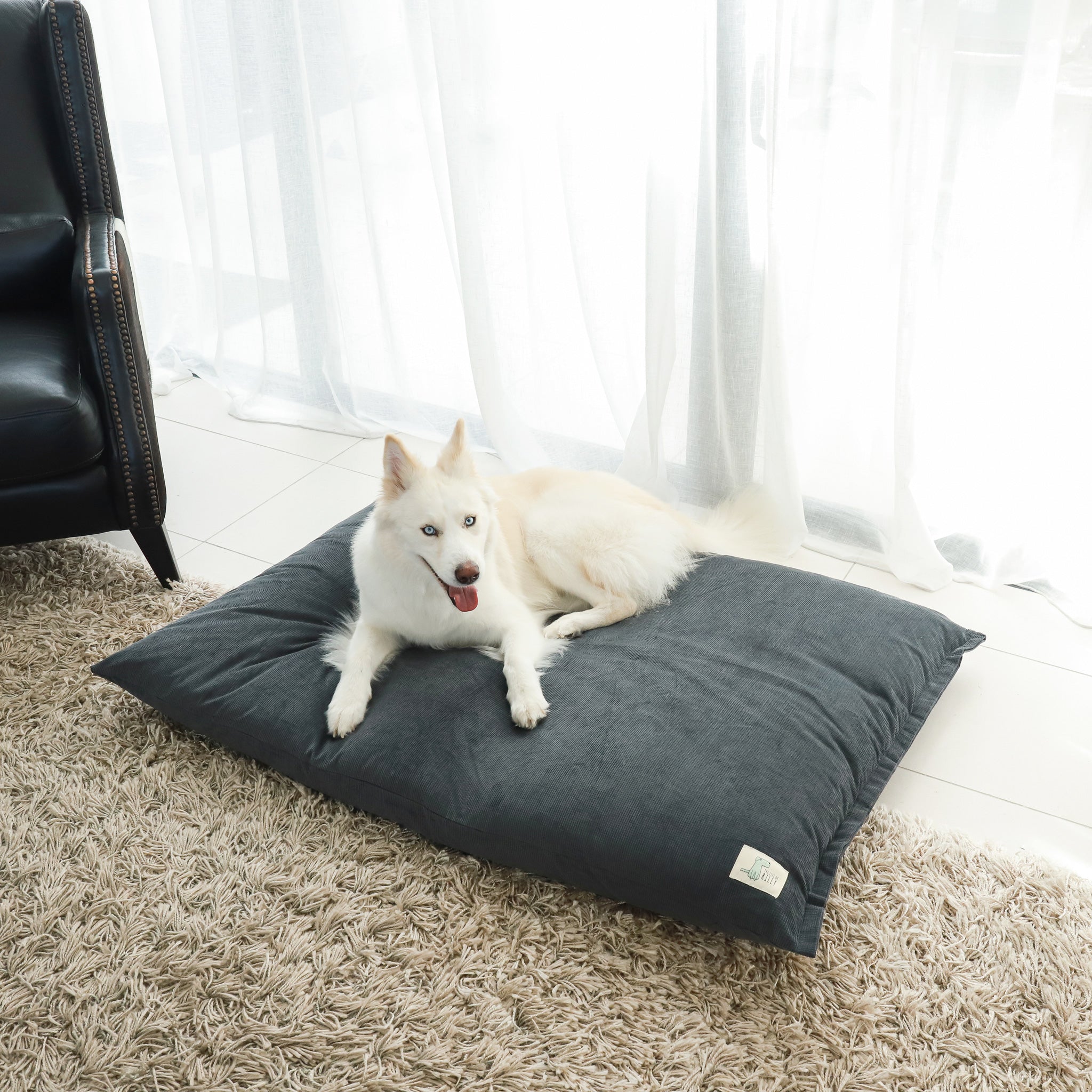 The Swag Bed Life of Riley Pet Products Dog Beds The Life of Riley
