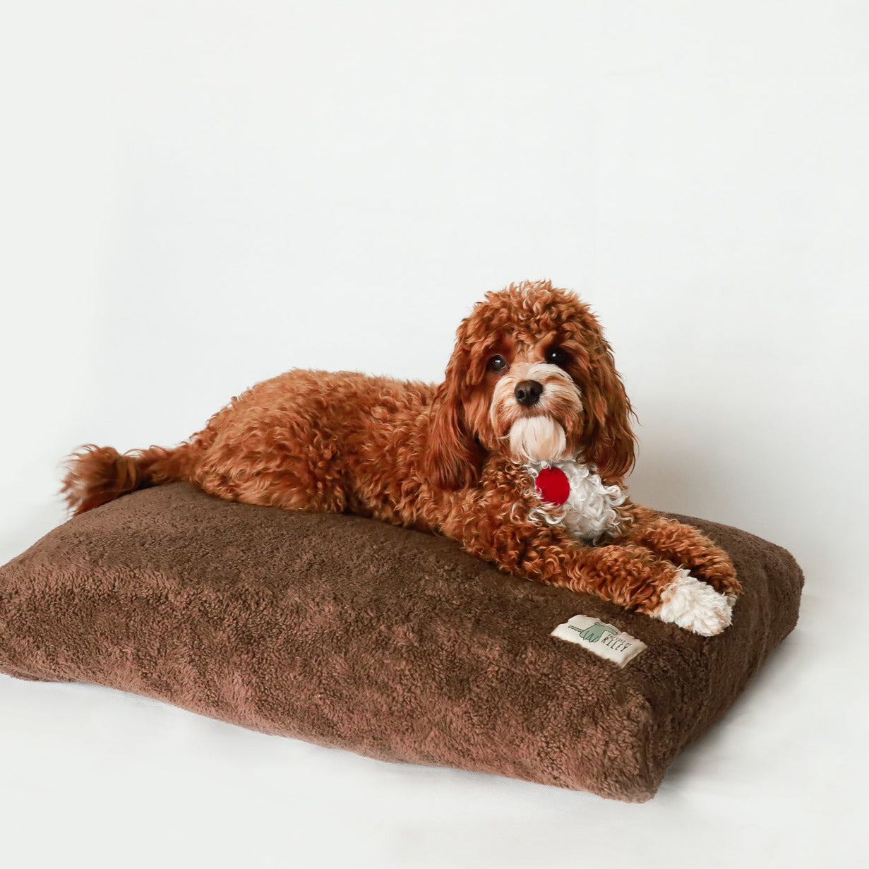 Organic Teddy - Elastic Mattress Cover Life of Riley Pet Products  The Life of Riley